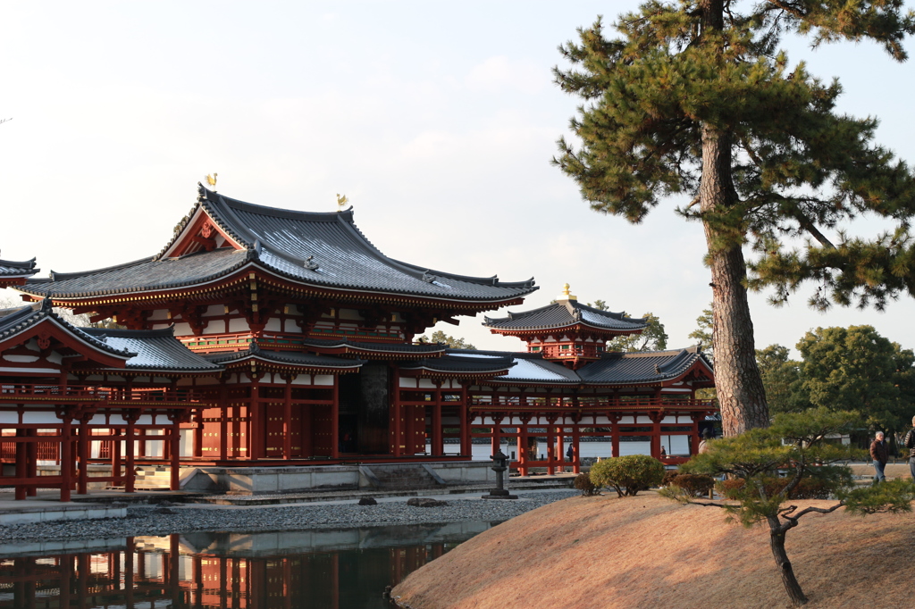平等院鳳凰堂