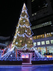 ドイツ・クリスマスマーケット（大阪）　クリスマスツリー