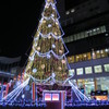 ドイツ・クリスマスマーケット（大阪）　クリスマスツリー