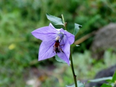 DSCF1940 (2)