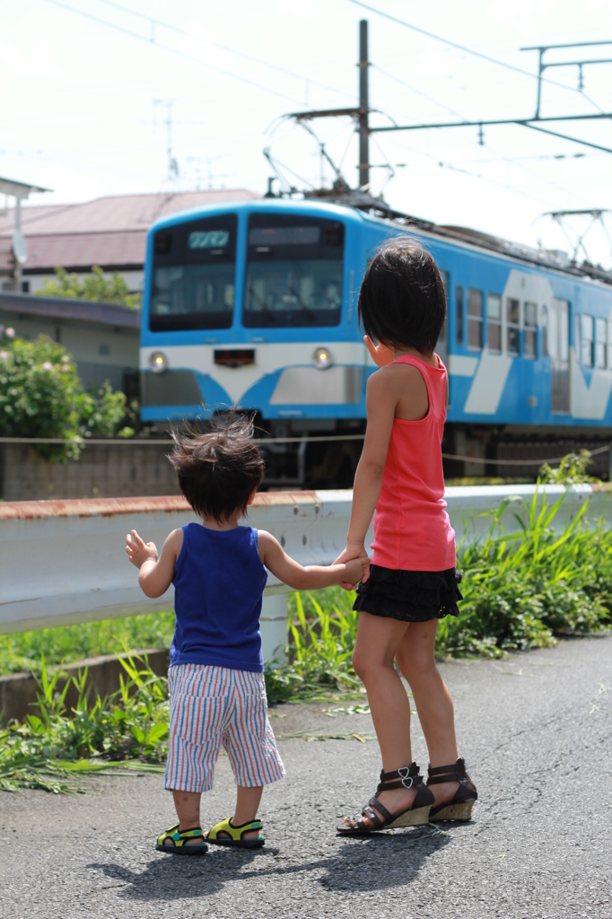 夏のおさんぽ