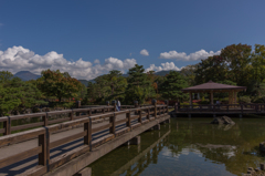 散歩日和