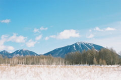 Snow Picnic