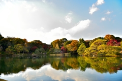 六儀園　昼