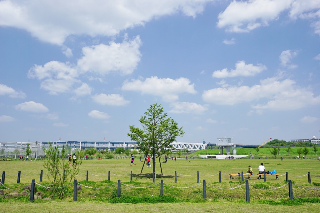 新横浜公園