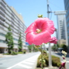 DSC_1409