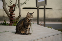 DSC_1111
