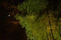 DSC_1307