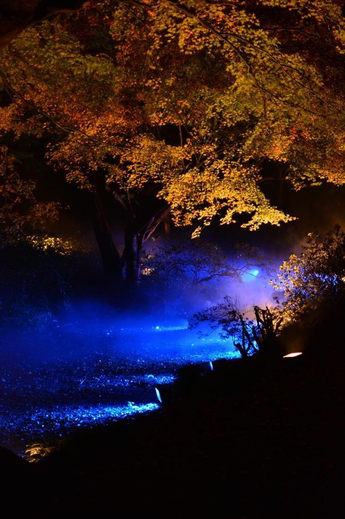DSC_1362