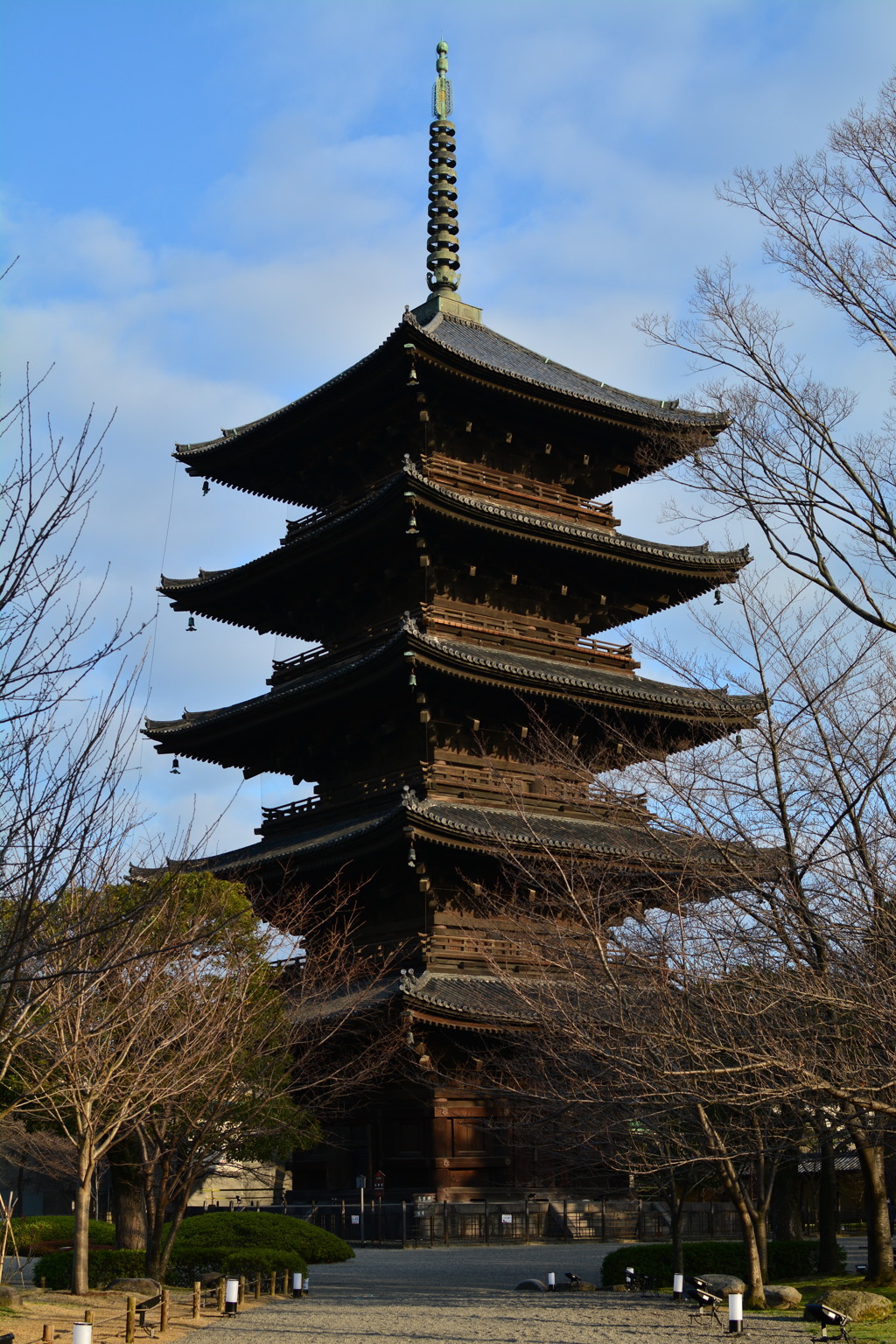 DSC_1985