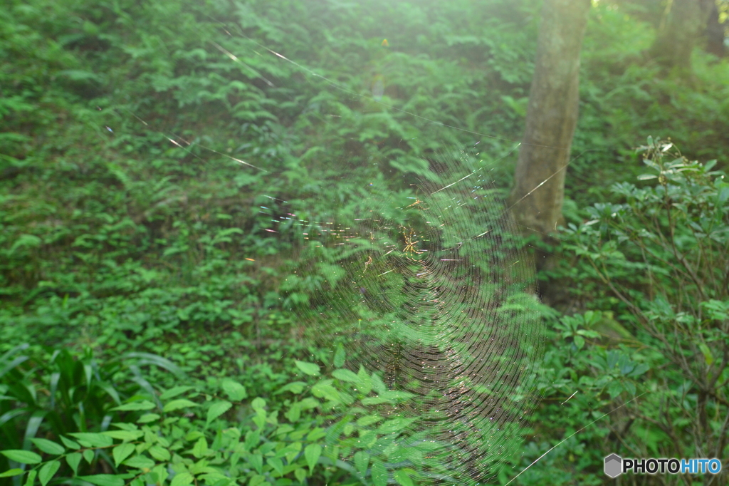 DSC_4793