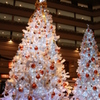 クリスマスツリー