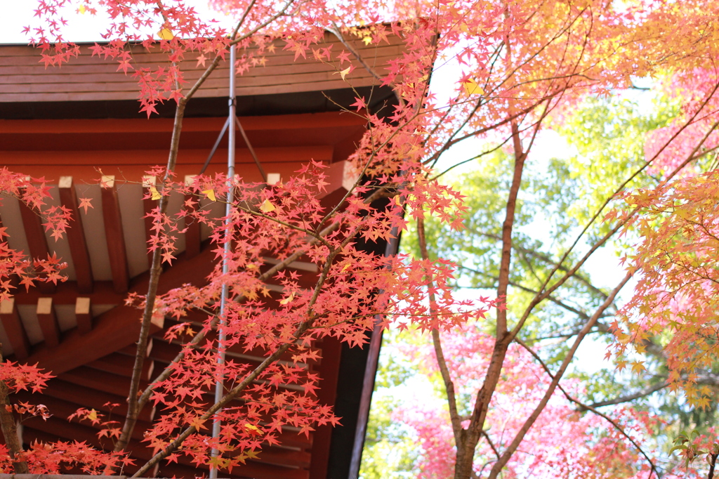 御霊神社