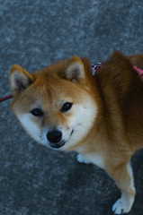 はじめまして