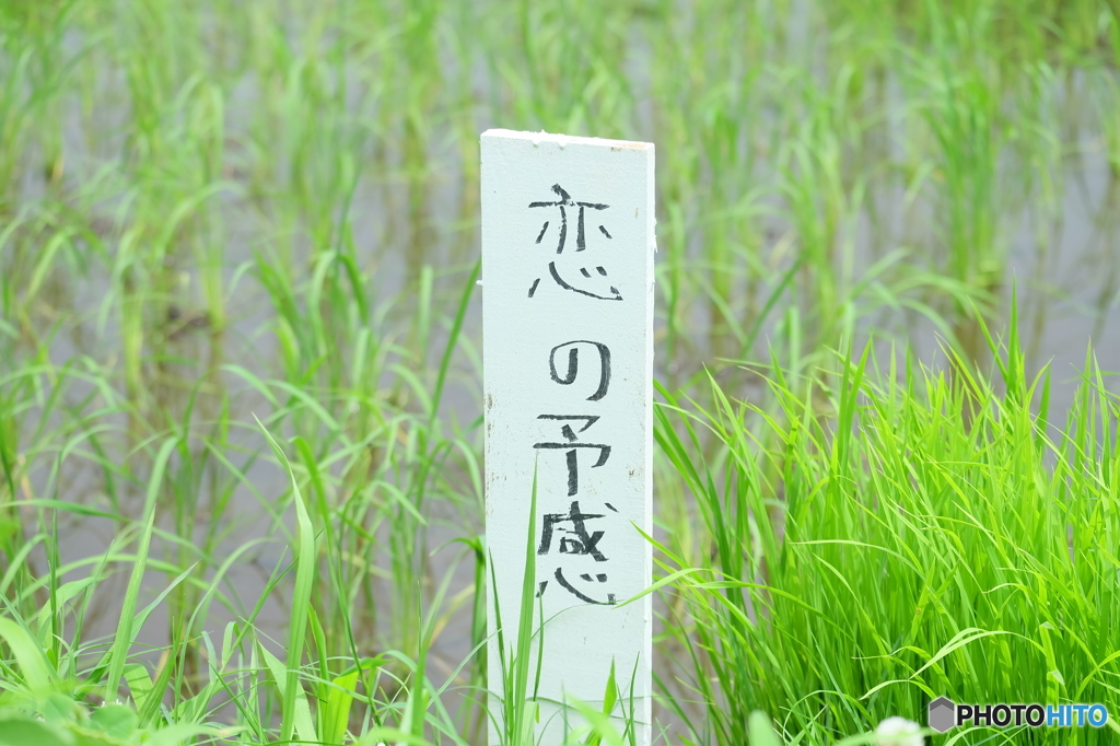 どきっ