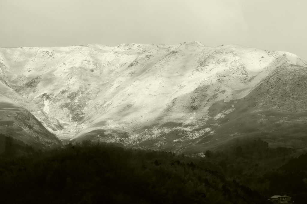 雪化粧
