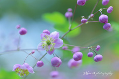 pure heart.+*:ﾟ+｡.☆