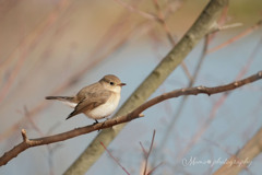 森のAngel.+*:ﾟ+｡.☆