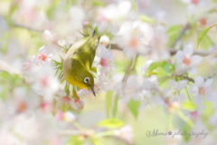 冬のごちそう♪。.:＊・゜