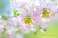 夏のパステル.+*:ﾟ+｡.☆