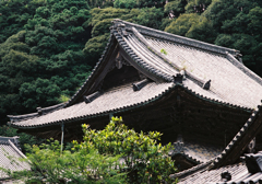 歴史のある寺