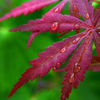 MACRO_TEST01