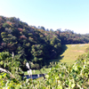 TANIYAMA05