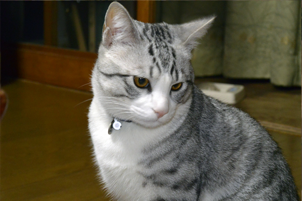 02taro