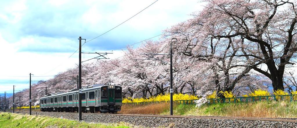 東北本線　大河原駅～北船岡駅