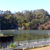 TANIYAMA01