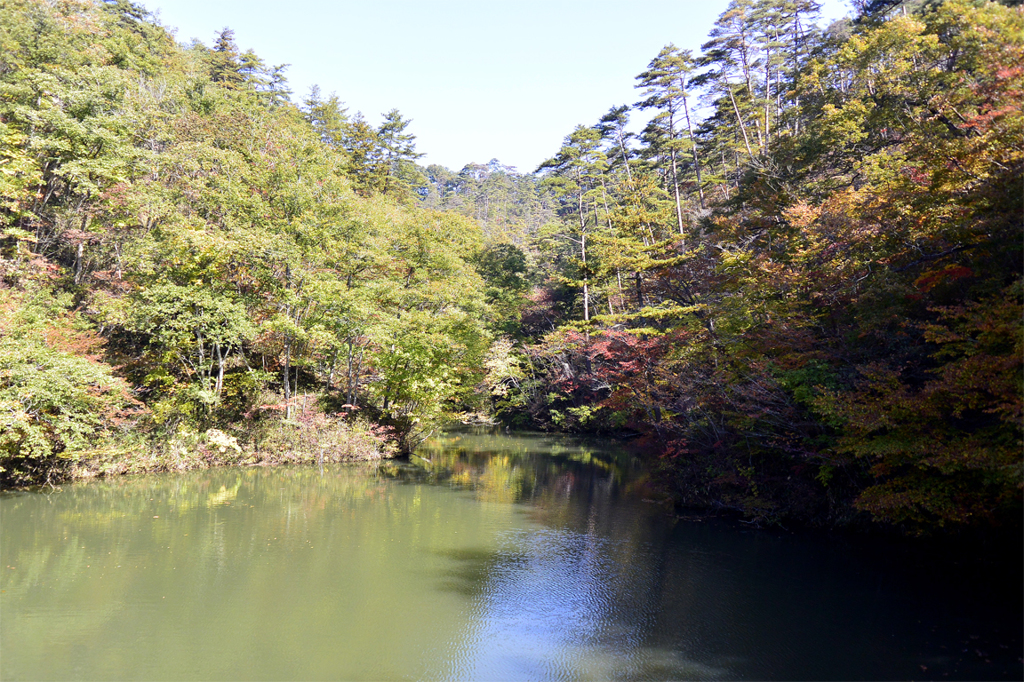 TANIYAMA04