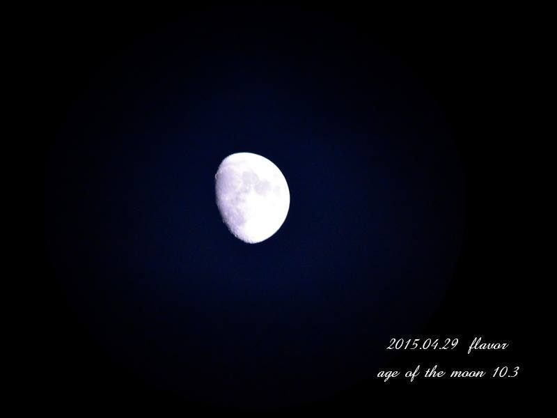 月齢　10.3