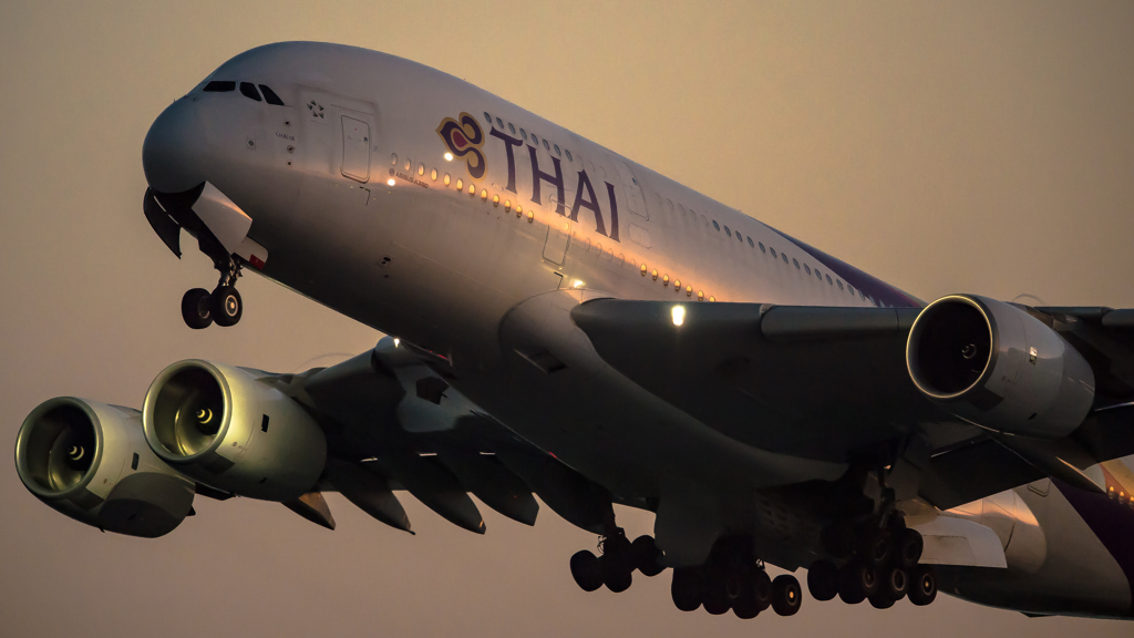 The Big Bird