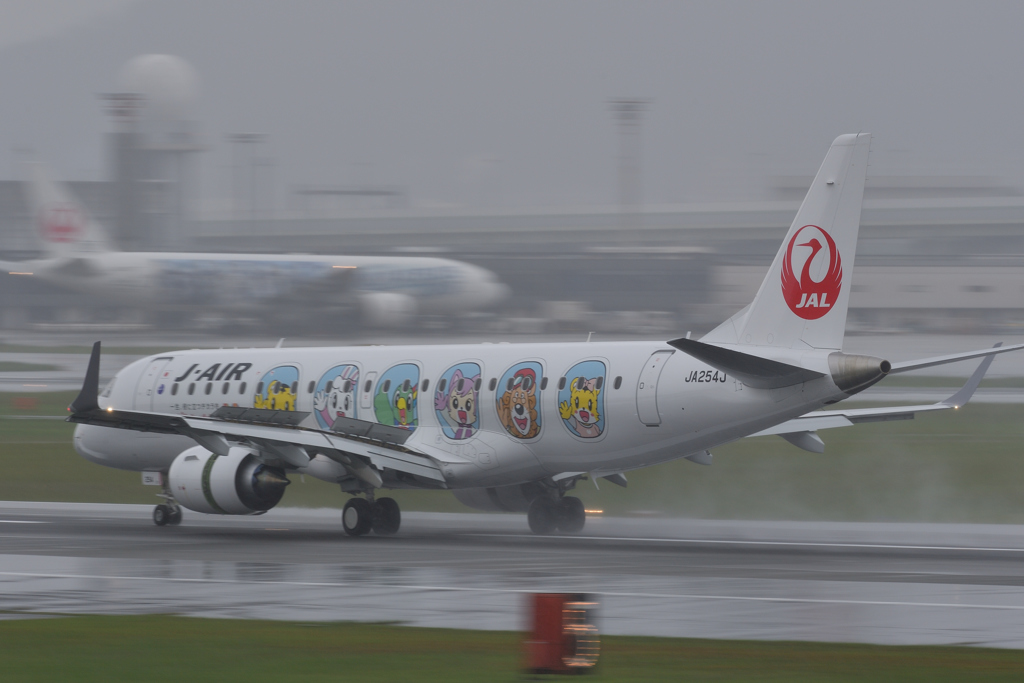 雨のスカイパークにて