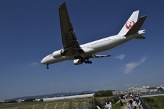 千里川土手の休日