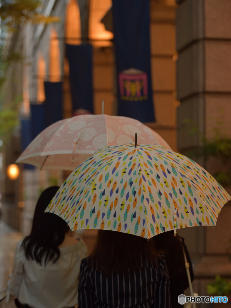 雨の居留地