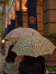 雨の居留地