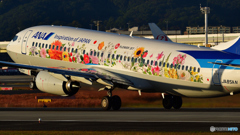 FLOWER  JET
