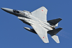 2019 岐阜基地航空祭