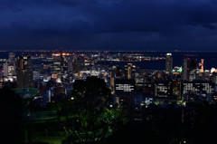 ヴィーナスブリッジ夜景１