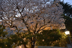 神戸北野　夕暮れ散歩５