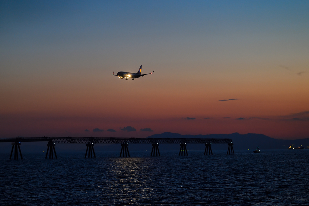 Sunset  Flight