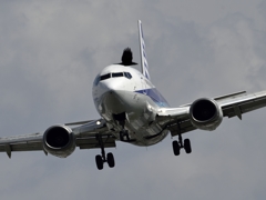 ジェット旅客機 VS カラス