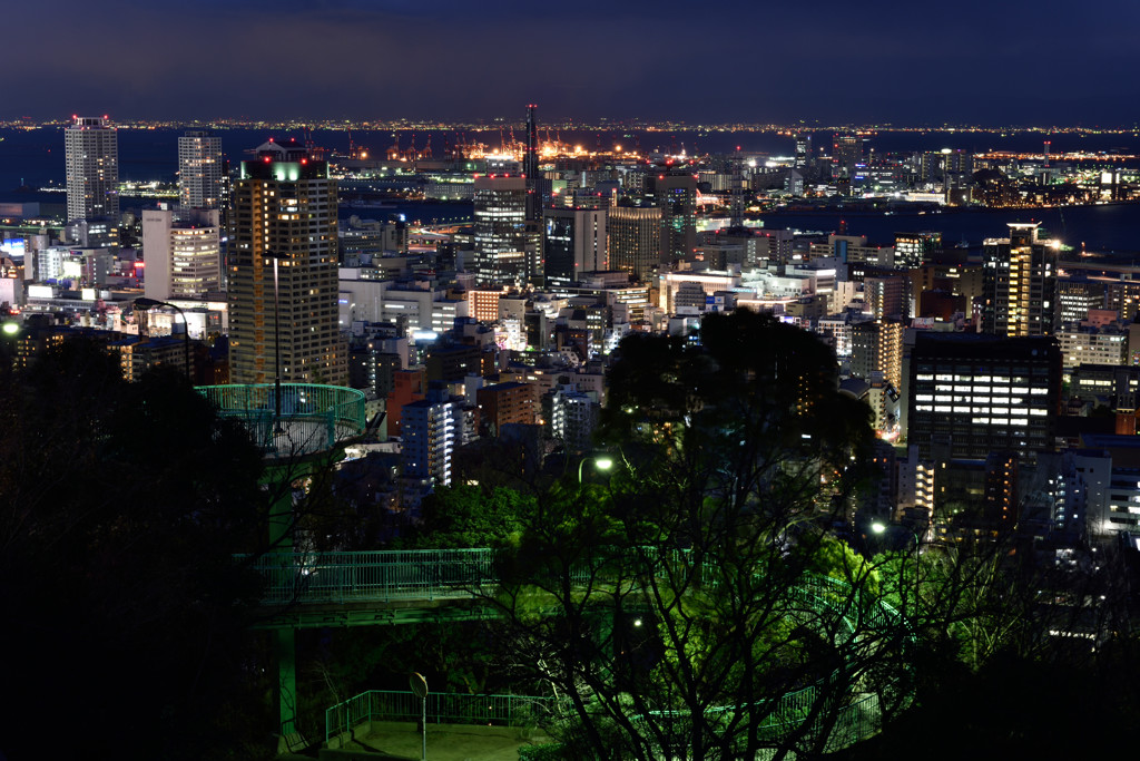 ヴィーナスブリッジ夜景２