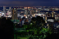 ヴィーナスブリッジ夜景２