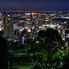 ヴィーナスブリッジ夜景２