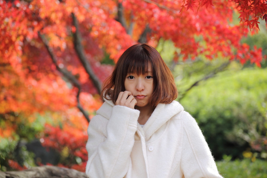 紅葉日和