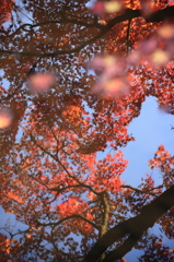 水鏡