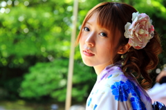 夏の日に