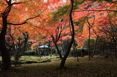 龍野公園　2013